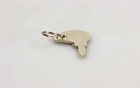 Schlüssel für Griff, Wasco Kühl- & Gefrierschrank