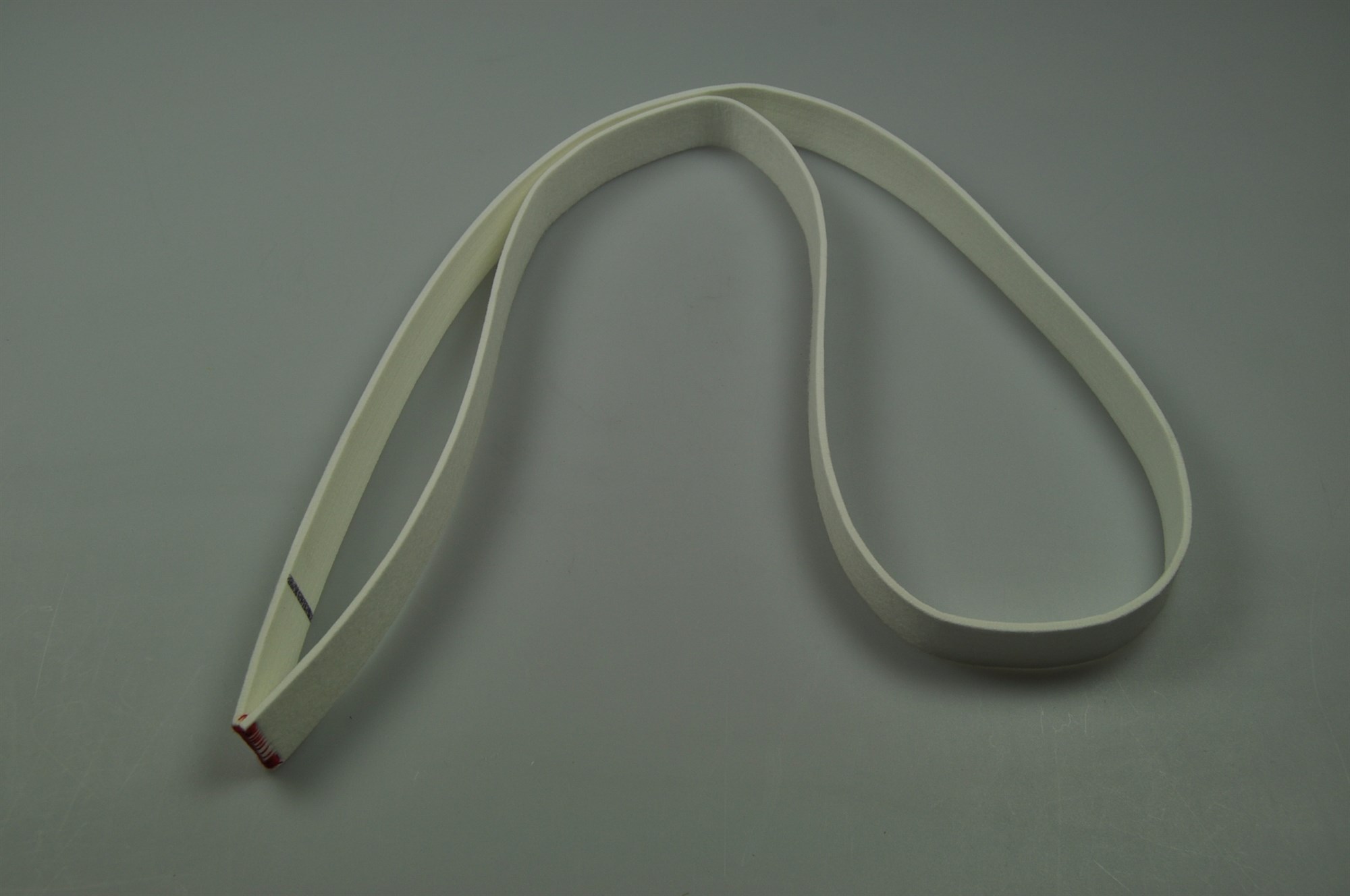 ZANUSSI Wäschetrockner Filzfilter Tür NX4 - Original Ersatzteil 1254246042